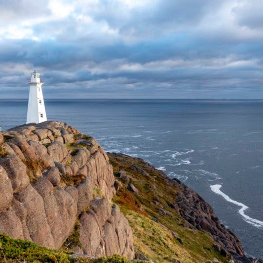 Browse the list of tv shows and movies where Newfoundland and Labrador plays a leading role.