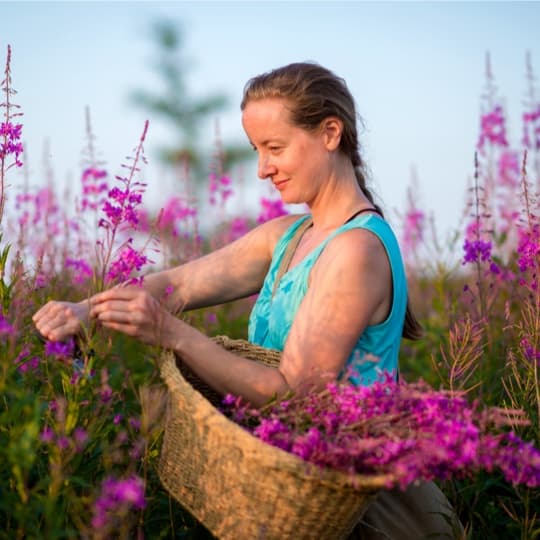 Whether she’s hauling bright orange kelp from the sea, or plucking chanterelles from the forest floor, Lori is driven to create stunning dishes using the local landscape.