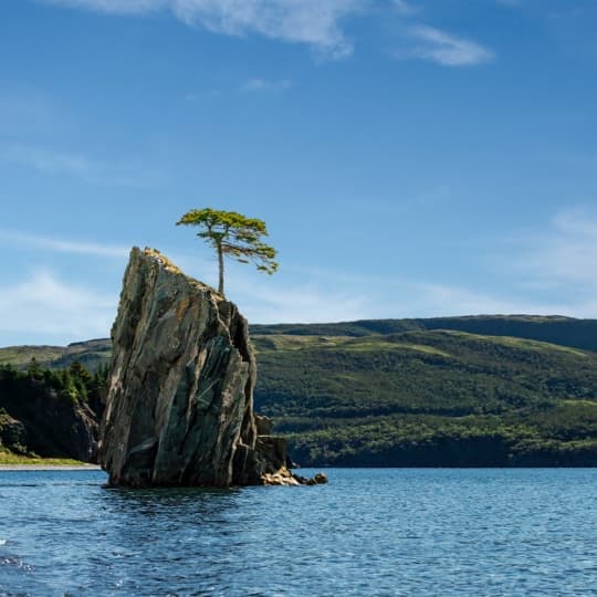 The Burin Peninsula is home to some of our best-kept secrets, including a museum with sails like a schooner, a rare border crossing to France, a story of sailor survivors, and a place called Lord’s Cove.