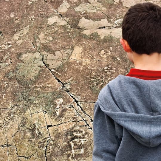 Travel back 565 million years at Mistaken Point Ecological Reserve.