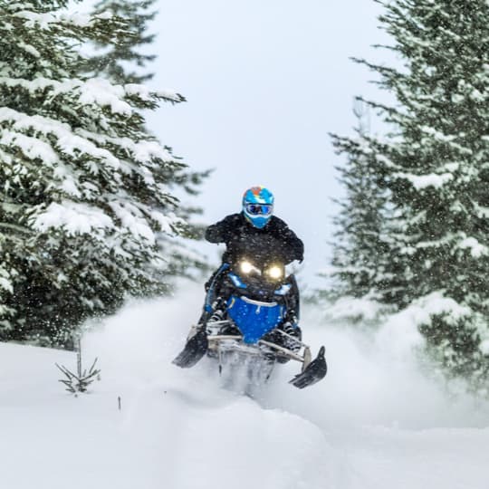 Dramatic coastlines, untouched forests, and even perhaps the edges of a glacier-carved fjord – who needs roads?