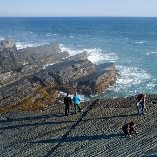 Step back 565 million years with a behind-the-scenes peek of Mistaken Point, UNESCO World Heritage Site. Home to some of the best-preserved fossils on the planet.
