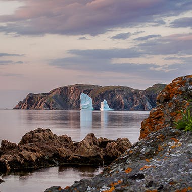 Welcome to Iceberg Alley. Where you may stumble upon one of Mother Nature’s finest, gigantic, glittering sculptures.