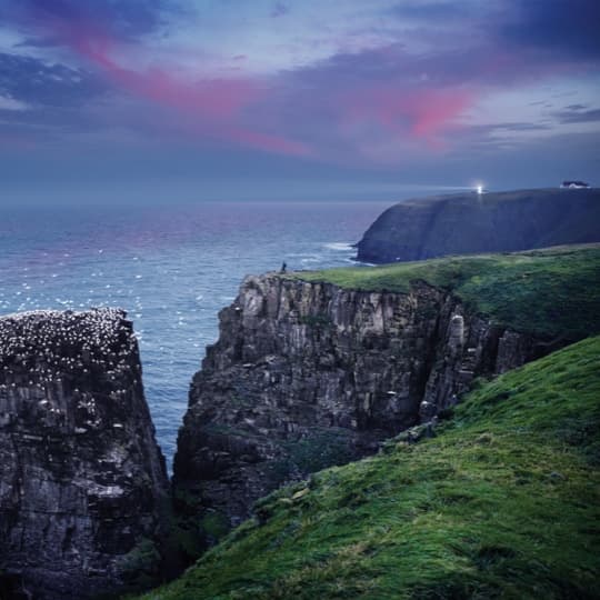 Binoculars optional. A hat, on the other hand, could come in handy. Visit Cape St. Mary’s Ecological Reserve. One of the most accessible seabird colonies on earth.