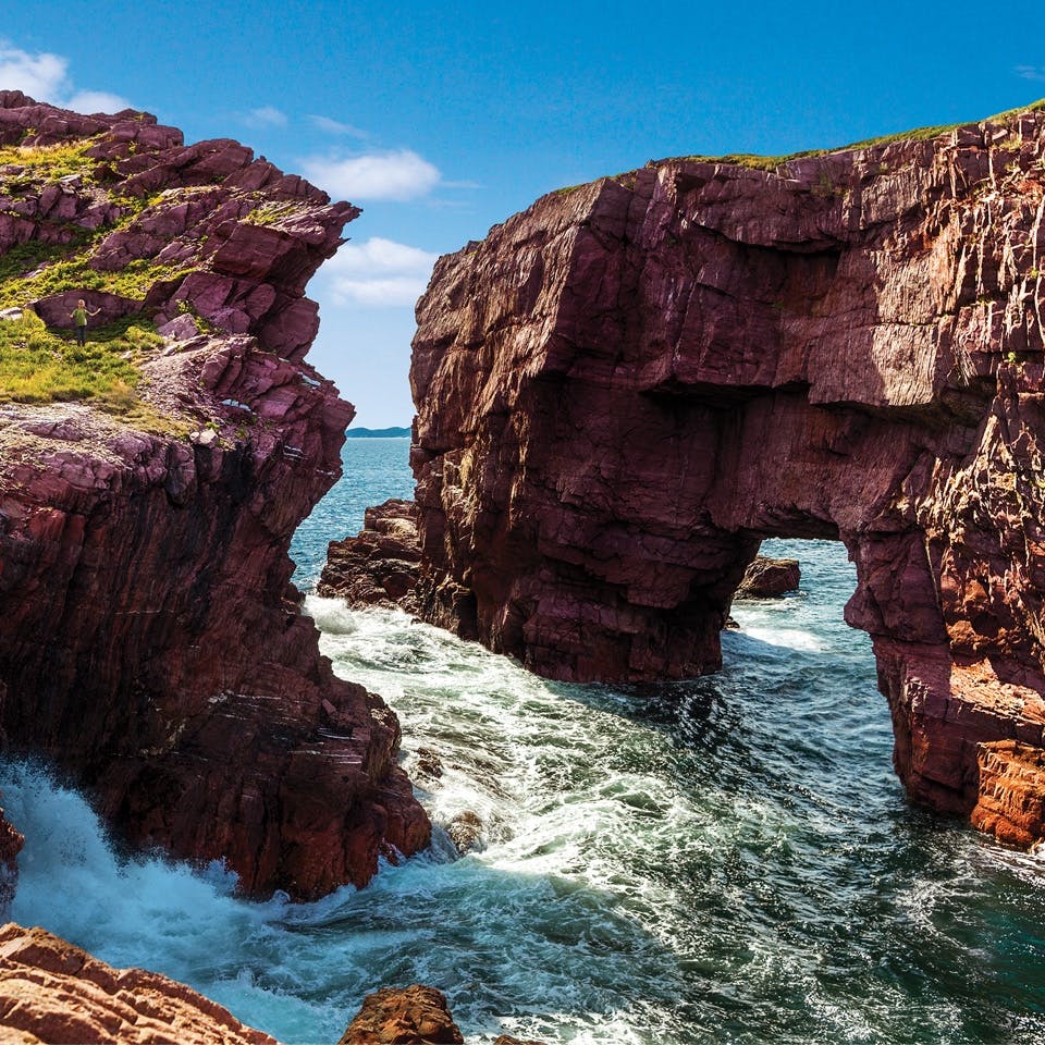 10 geosites to explore, 560-million-year-old fossils, dramatic sea stacks, and delicately curved sea arches. Find out the must-see spots that make the Bonavista Peninsula a world-renowned destination. 
