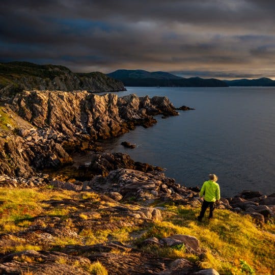 In a place with stunning coastlines, wildlife, and trails, you might have trouble deciding where to start your hike in Eastern Newfoundland.