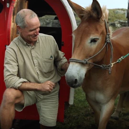 Our new friends, Bernie and his faithful mule Polly, traverse the bays and inlets of the province looking for cues to their scenery-based scavenger hunt.