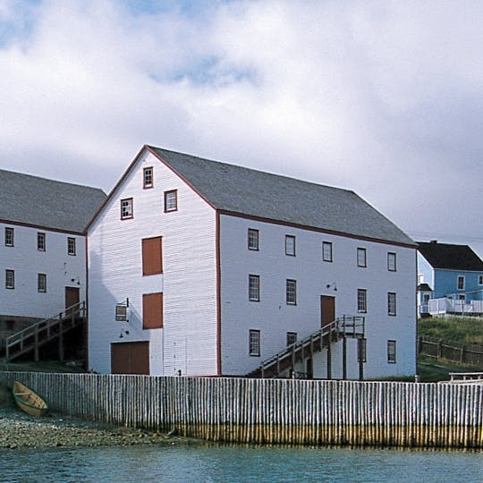 Preserved in the town of Bonavista, The Ryan Premises tells the rich history of the Newfoundland cod fishery and the story of the Ryan family who pioneered generations of business success in the industry.