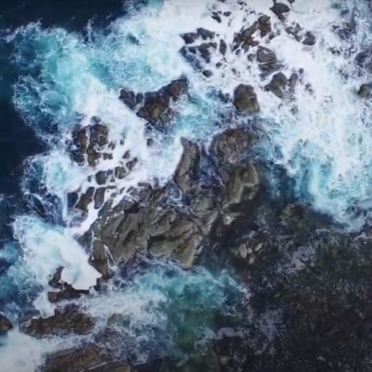 Sometimes the best stories are told through the sounds in nature like crashing waves and singing seabirds and humpback whales. Enjoy this collection of tales told by some of the best musicians from the province.