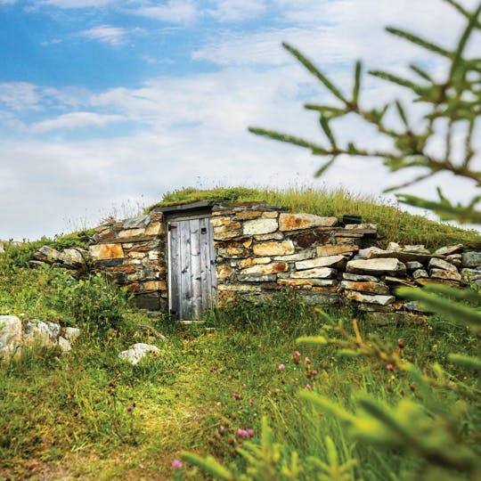Along the craggy coastline of the Bonavista Peninsula, the small fishing settlement of Elliston proudly claims the title of Root Cellar Capital of the World. These distinctive structures represent our unique cuisine and spirit of resilience.