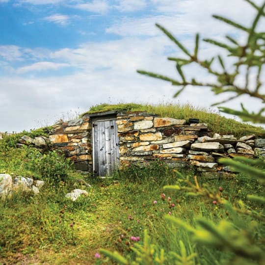 Along the craggy coastline of the Bonavista Peninsula, the small fishing settlement of Elliston proudly claims the title of Root Cellar Capital of the World. These distinctive structures represent our unique cuisine and spirit of resilience.