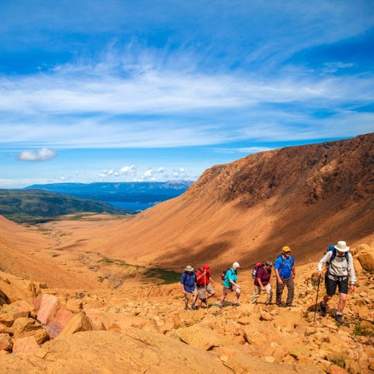The Tablelands in Gros Morne National Park is one of the few places on the planet where you can explore the earth’s mantle. Become part of a geological story – half a billion years in the making.